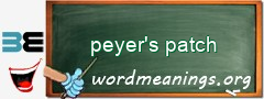 WordMeaning blackboard for peyer's patch